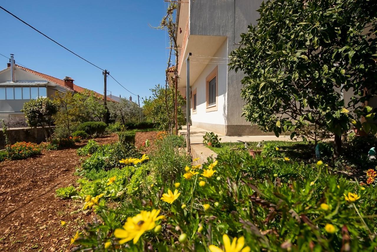 Apartman Mia Šibenik Extérieur photo